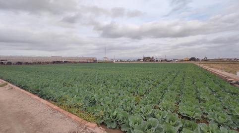 Photo 4 of Land for sale in Saboya, Alboraya