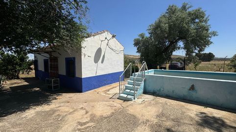 Foto 5 de Finca rústica en venta en De la Ginesa, Valdepeñas, Ciudad Real