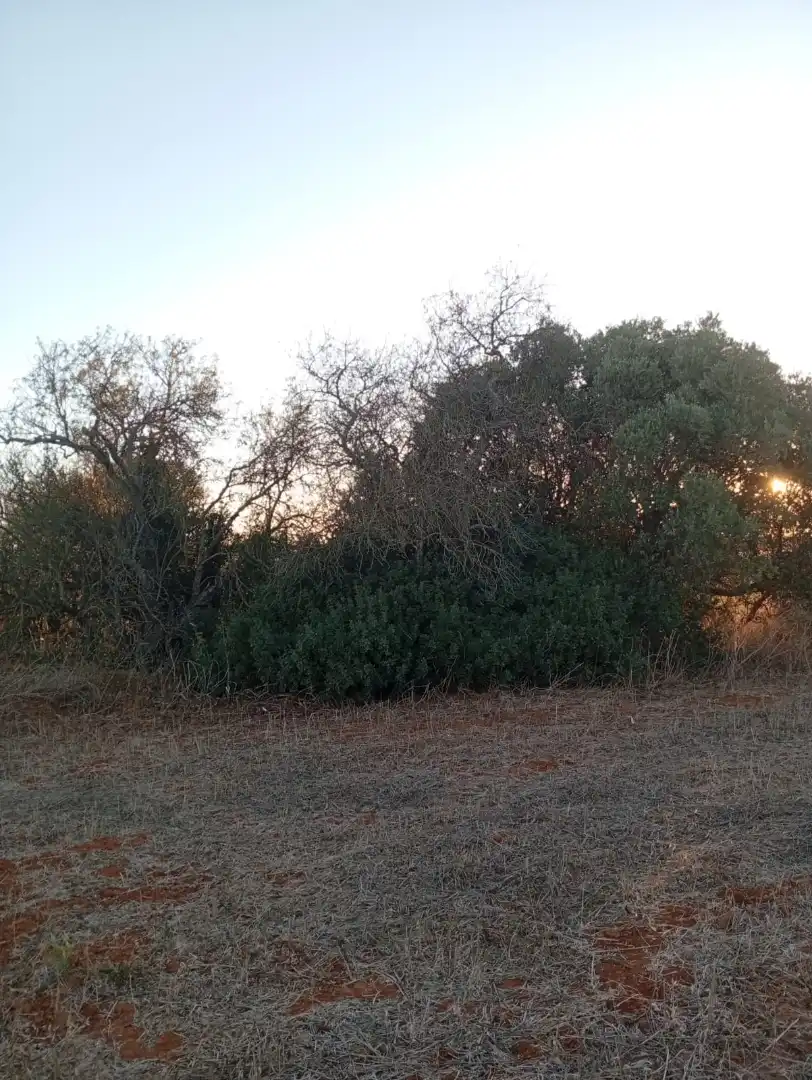 Terreno en venta en Conil de la Frontera