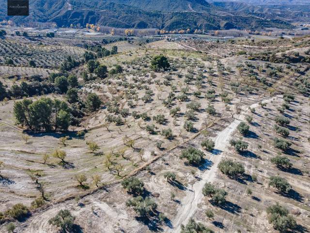 Terreno en Venta en  Jayena en Jayena