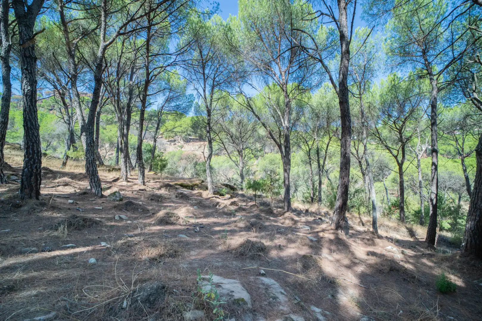 Residencial en venta en San Martín de Valdeiglesias, Madrid