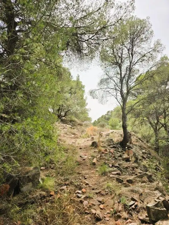 Wohnbaugrundstück zum Verkauf in Carrer Canteres 18, imagen 13