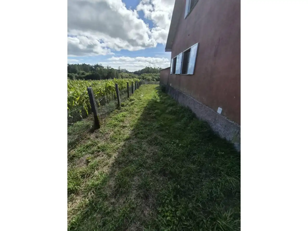 Country homes for sale in Rois  with Private garden, Furnished and Alarm