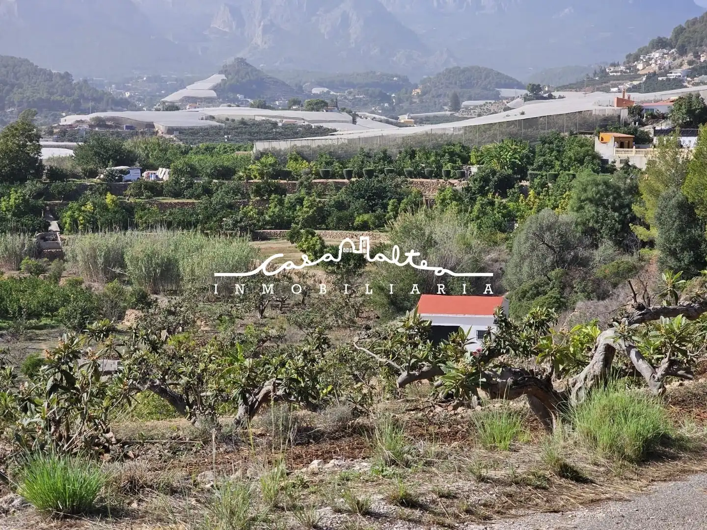 Casa rústica con jardín en venta en Callosa d'en Sarrià, imagen 5