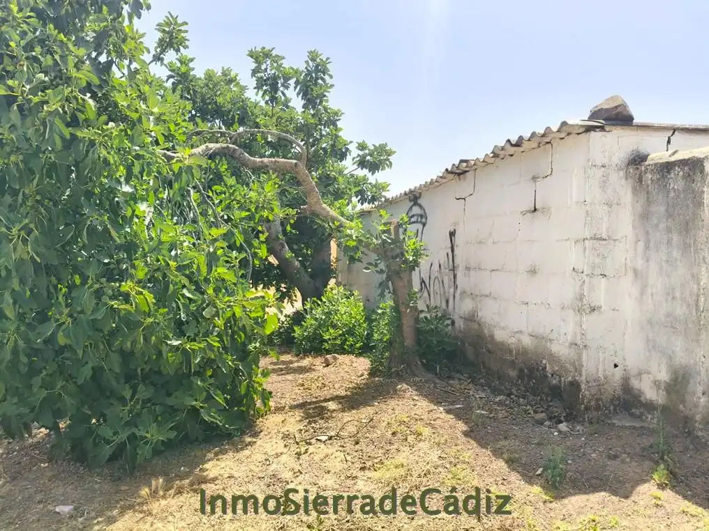Casa rústica en venda a Algodonales, imagen 8