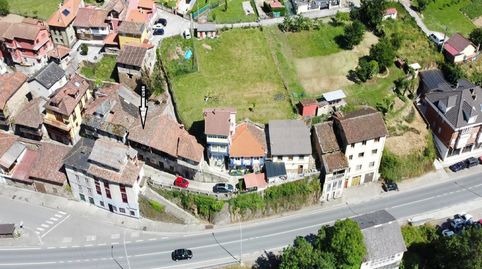BO PALOMAR DE ABAJO CANGAS DE NARCEA ASTURIAS, imatge 3