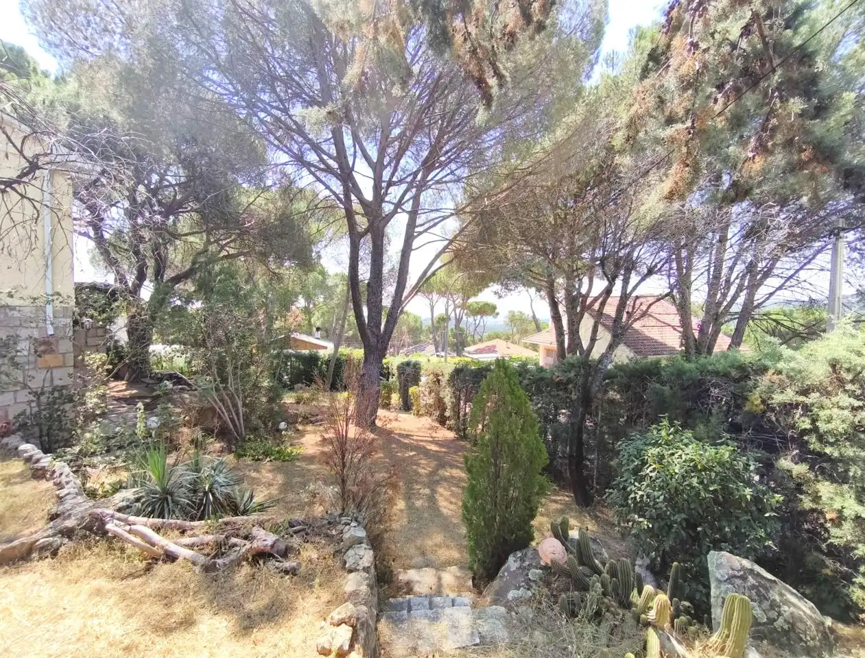 Jardí de Casa o xalet en venda en Villa del Prado amb Aire condicionat, Calefacció i Jardí privat