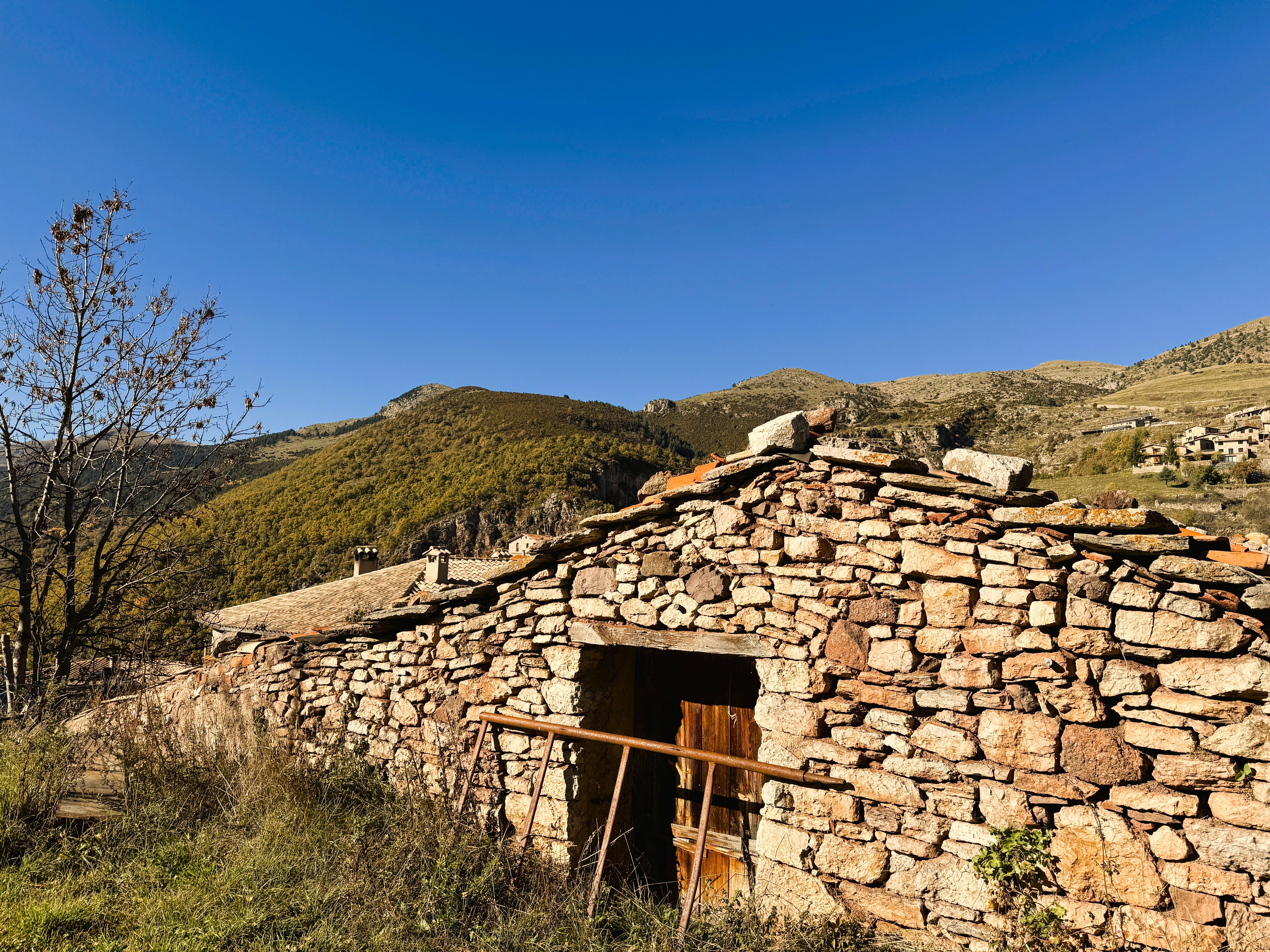 Vista exterior de Finca rústica en venda en Castellar de n'Hug amb Jardí privat