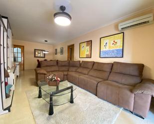 Living room of Flat for sale in Alicante / Alacant  with Air Conditioner, Heating and Terrace