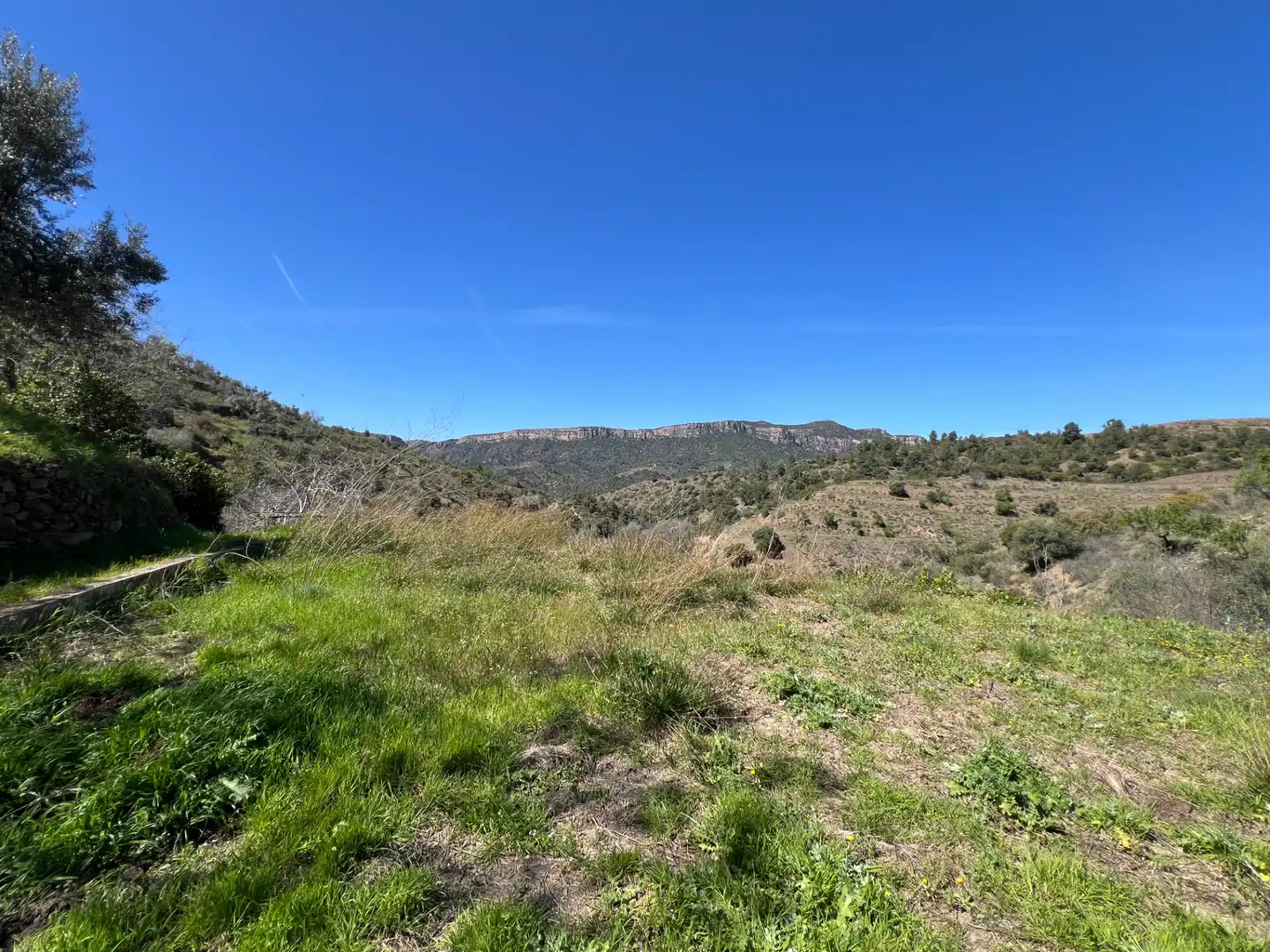 Rural land for sale in Gratallops, imagen 6
