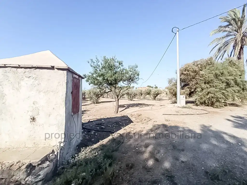Country homes for sale in Lorca