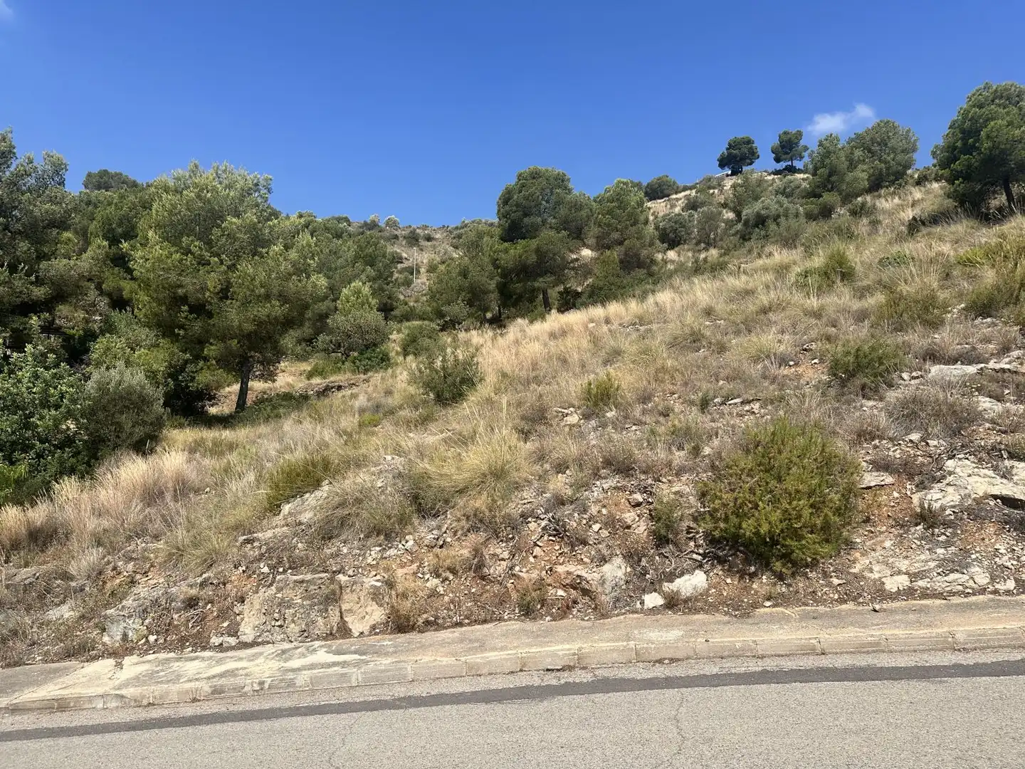 Wohnbaugrundstück zum Verkauf in Algar de Palància, imagen 2