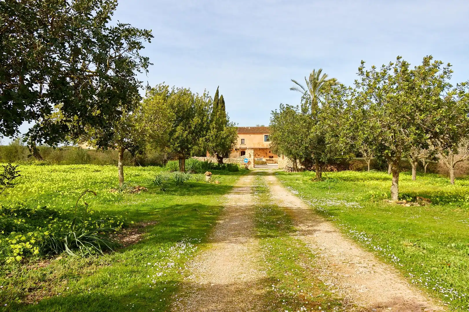 Casa rustica in vendita a Algaida, imagen 52