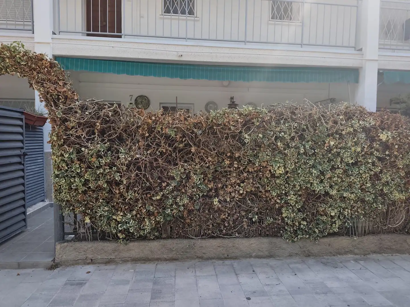 Aparcament de Pis en venda en Santa Susanna amb Terrassa i Piscina comunitària