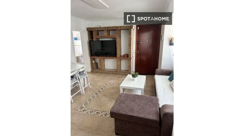 Photo 2 of Room in Barbate ciudad, Barbate