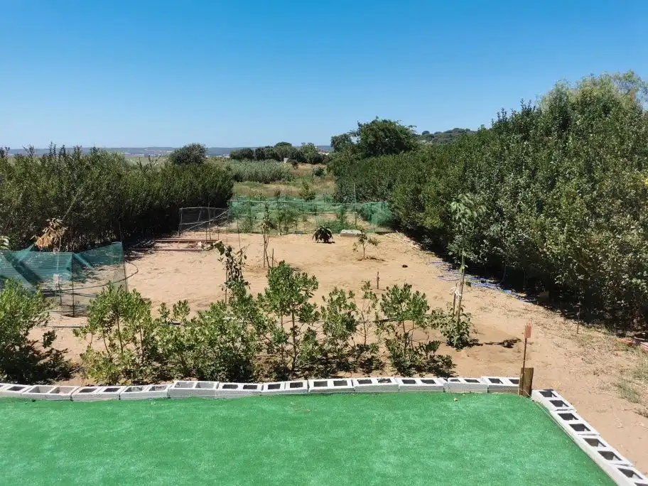 Houses for sale in Barbate  with Air Conditioner, Private garden and Terrace