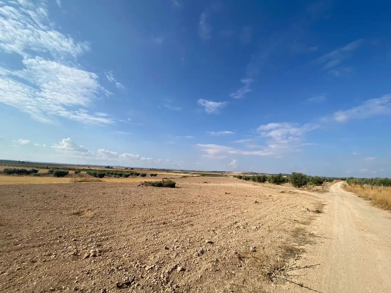 Terreny rústic en venda a Carretera Pozuelo de Calatrava 27, imagen 4
