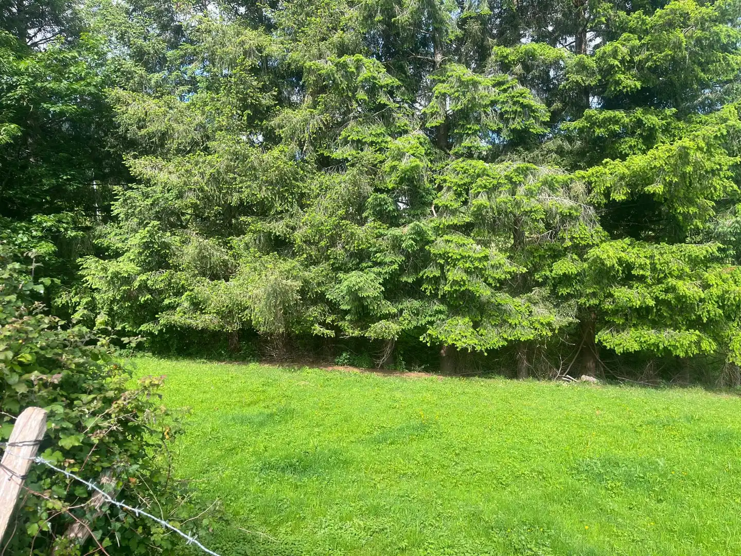 Rural land for sale in Udaletxeko Karrika