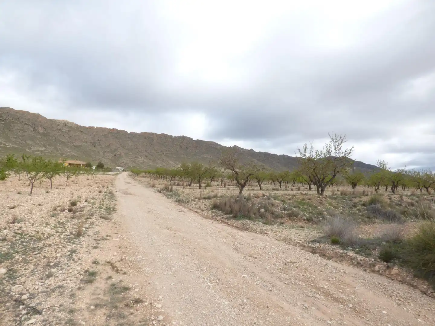Rustikales Grundstück zum Verkauf in Jumilla, imagen 16