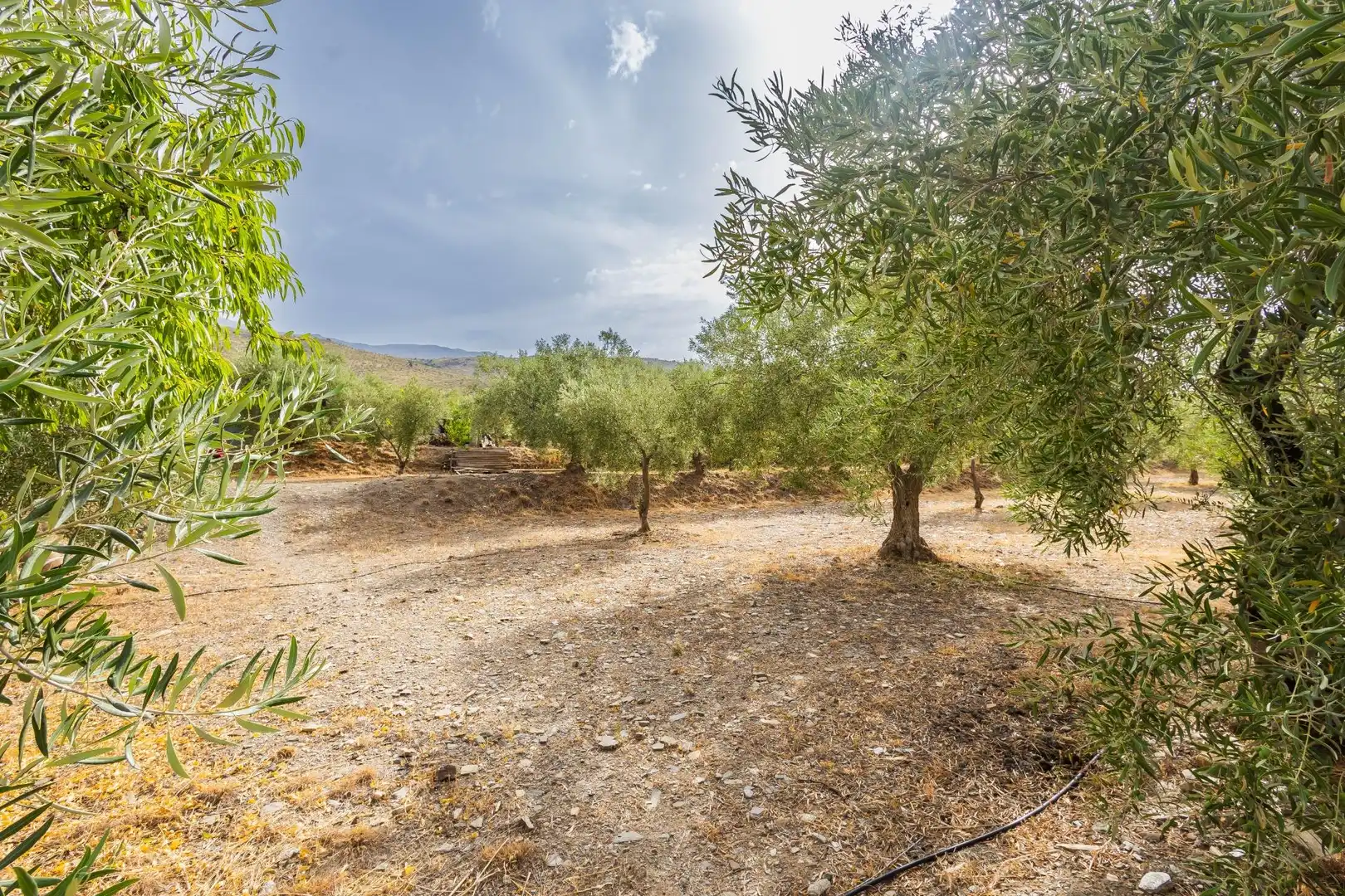 Country homes for sale in Abrucena  with Storage room