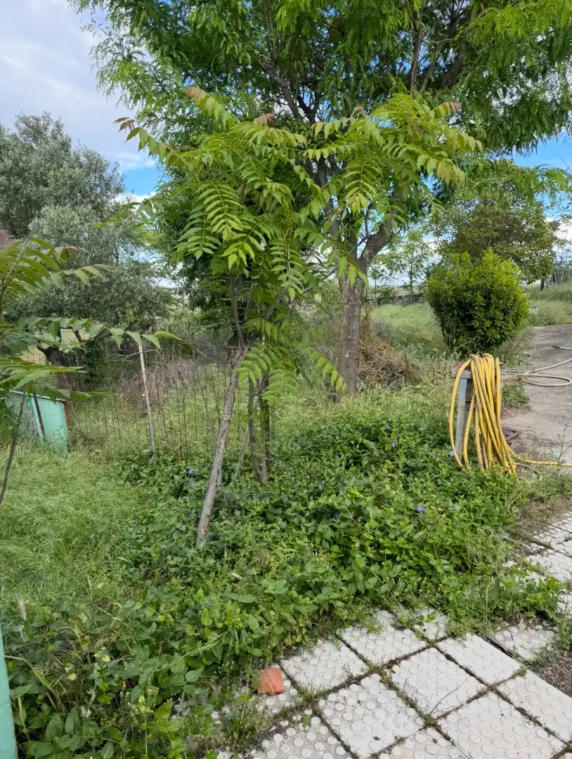 Finca rústica en venta en El Molar (Madrid) con Jardín privado, Terraza y Trastero