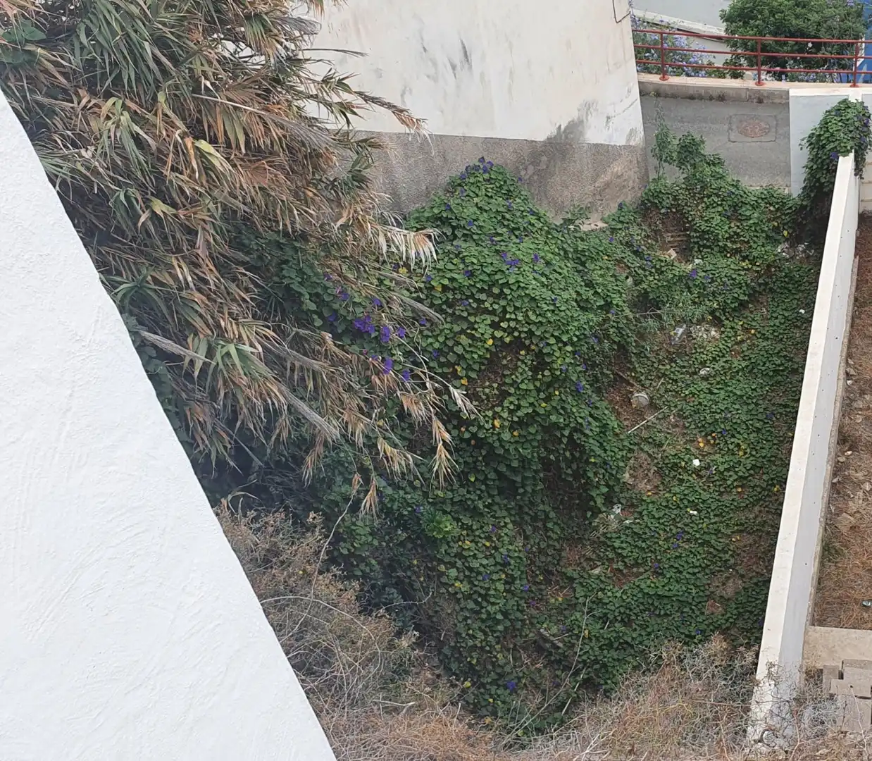Residential zum Verkauf in Calle MAESTRO RODO, 31, Altavista - Don Zoilo