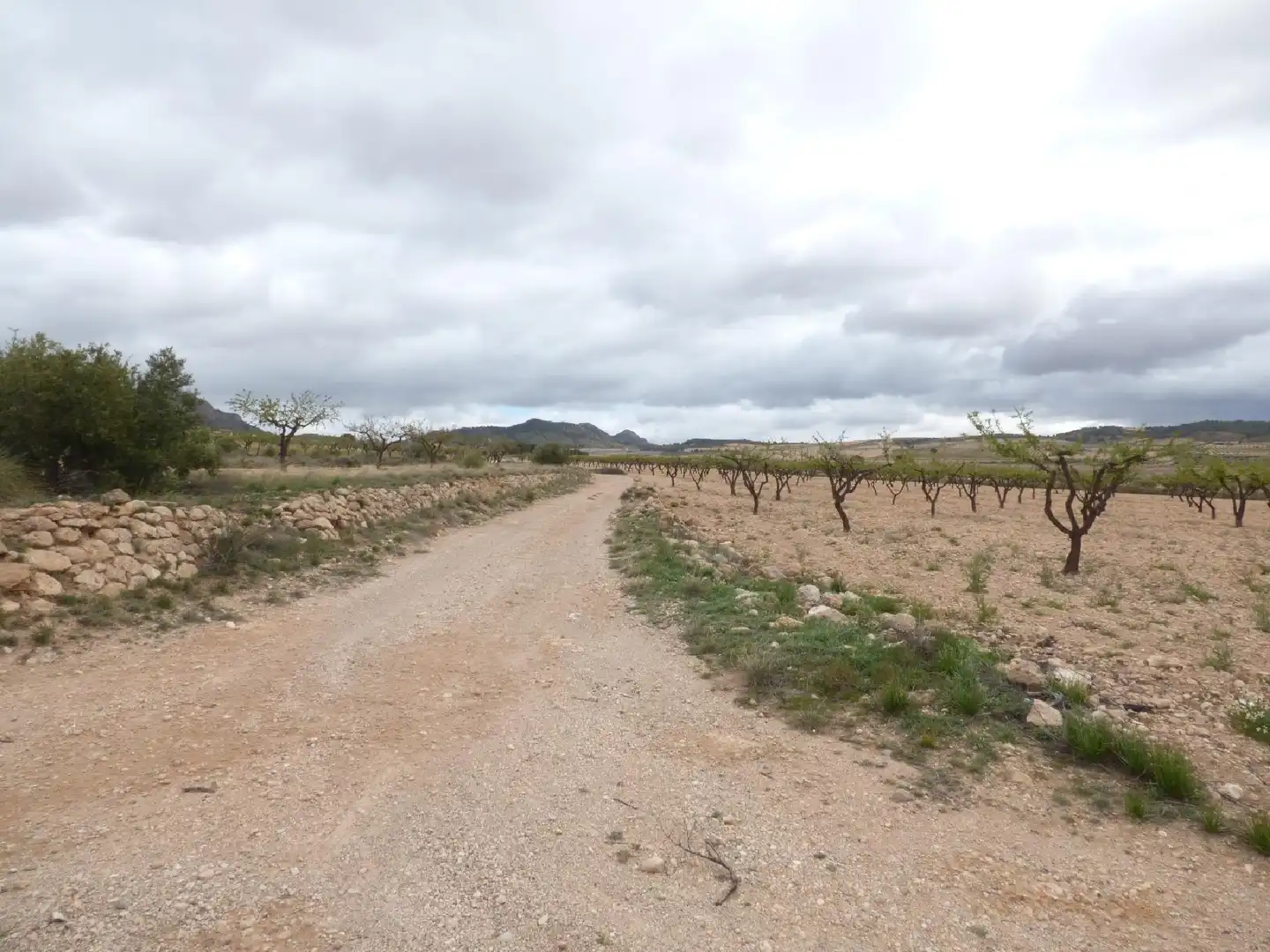 Rustikales Grundstück zum Verkauf in Jumilla, imagen 8