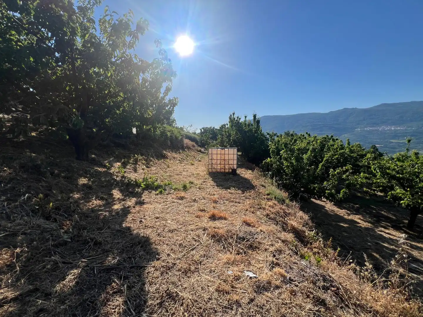 Terreni e lotti in vendita a Casas del Castañar, imagen 13