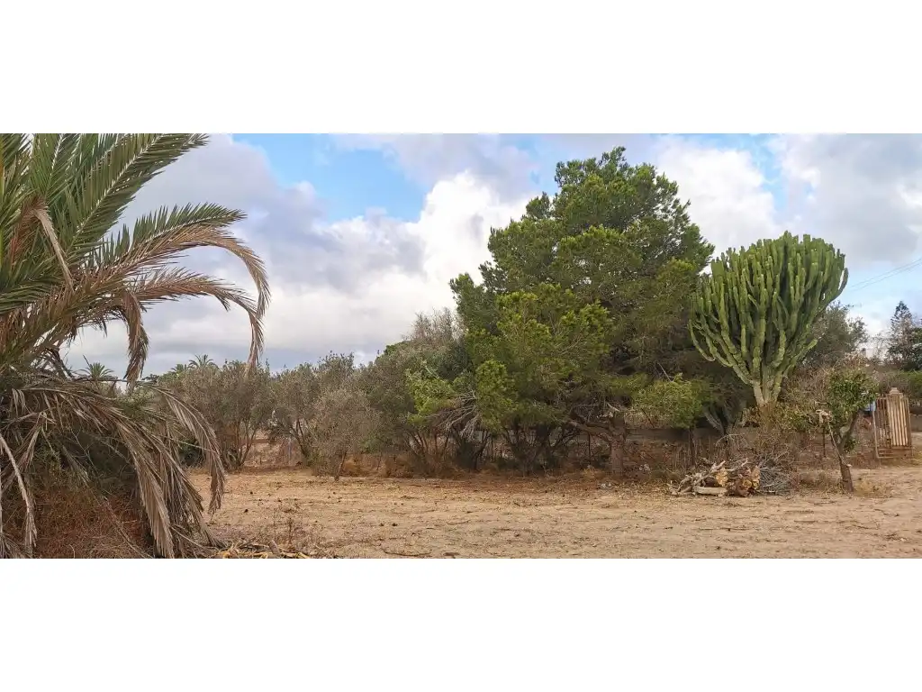 Terreno residencial en venta en La Marina, imagen 8