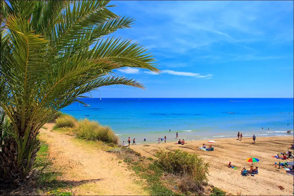 Exterior view of Houses for sale in Orihuela
