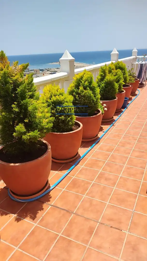 Penthouse with lift for sale in Adra, imagen 16