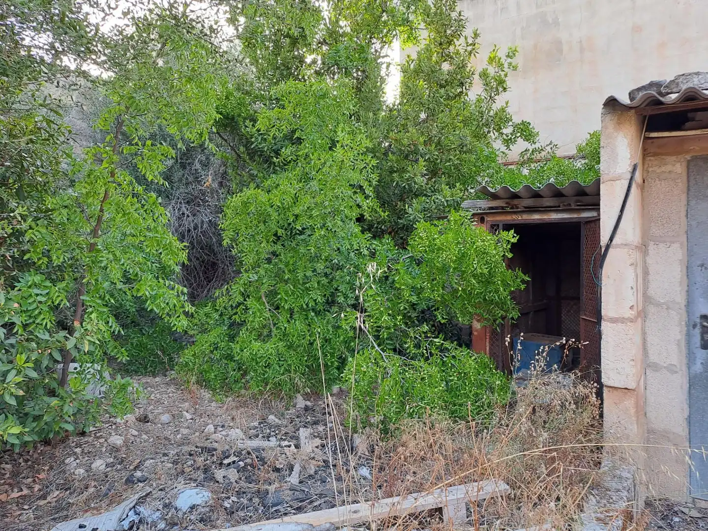 Industriegebäude zum Verkauf in Sa Pobla, imagen 16