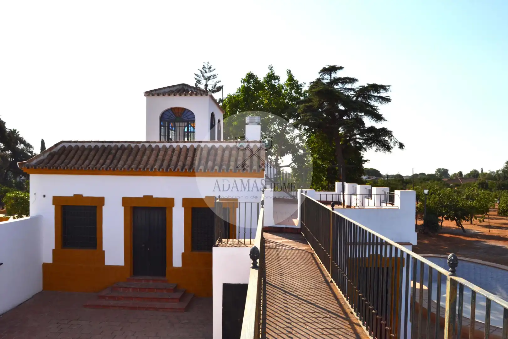 Vista exterior de Casa o xalet en venda en Sanlúcar la Mayor amb Jardí privat, Terrassa i Piscina