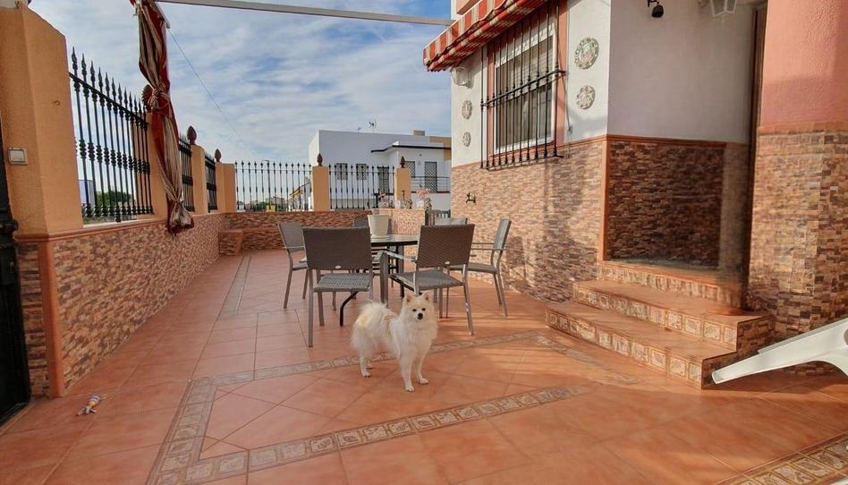 Foto 1 de Casa o chalet en venta en Avenida Placido Fernandez Viagas, Castilleja de la Cuesta, Sevilla