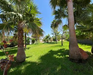 Jardí de Casa o xalet en venda en Fuente Palmera amb Aire condicionat i Piscina