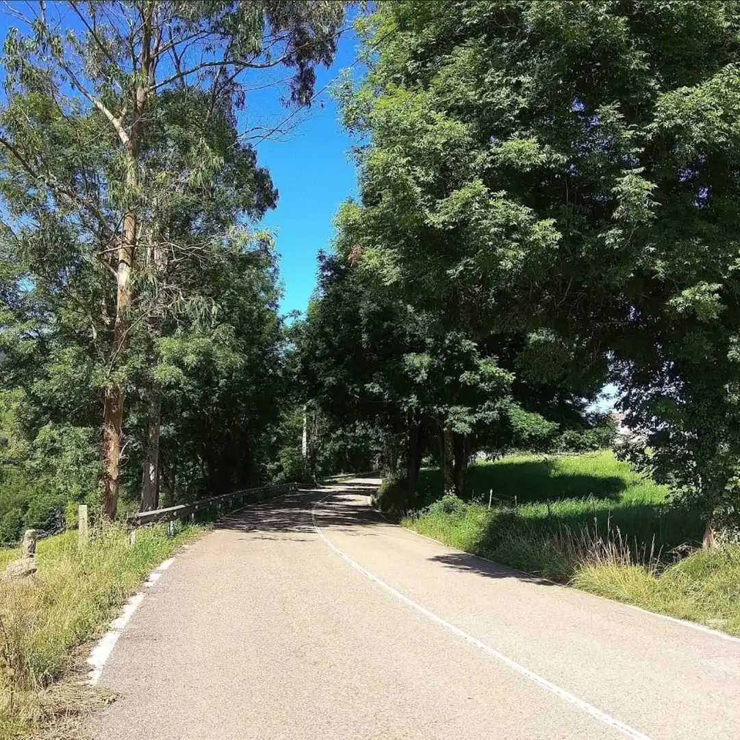 Rural land for sale in Villafufre - Barrio Villafufre-San Martin 15B, imagen 4