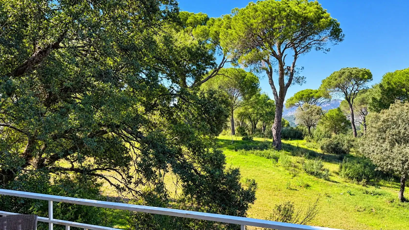 Villa con piscina in vendita a Avenida del Encinar 2A, imagen 24