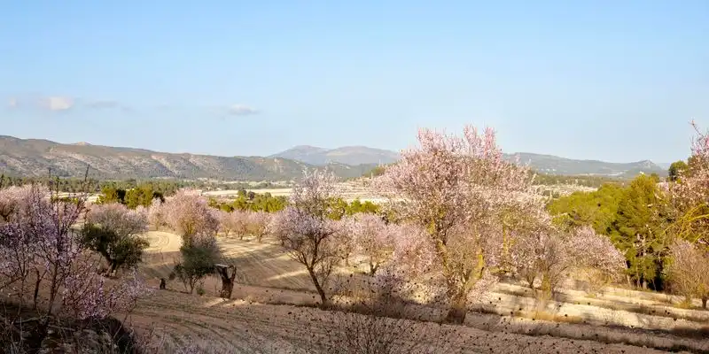 Exterior view of Country homes for sale in Alcoy / Alcoi  with Private garden and Terrace
