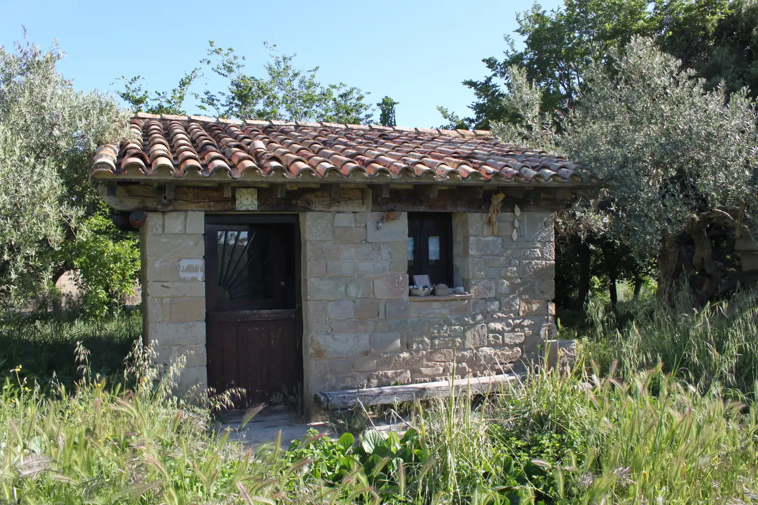 Vista exterior de Terreno en venta en Tafalla