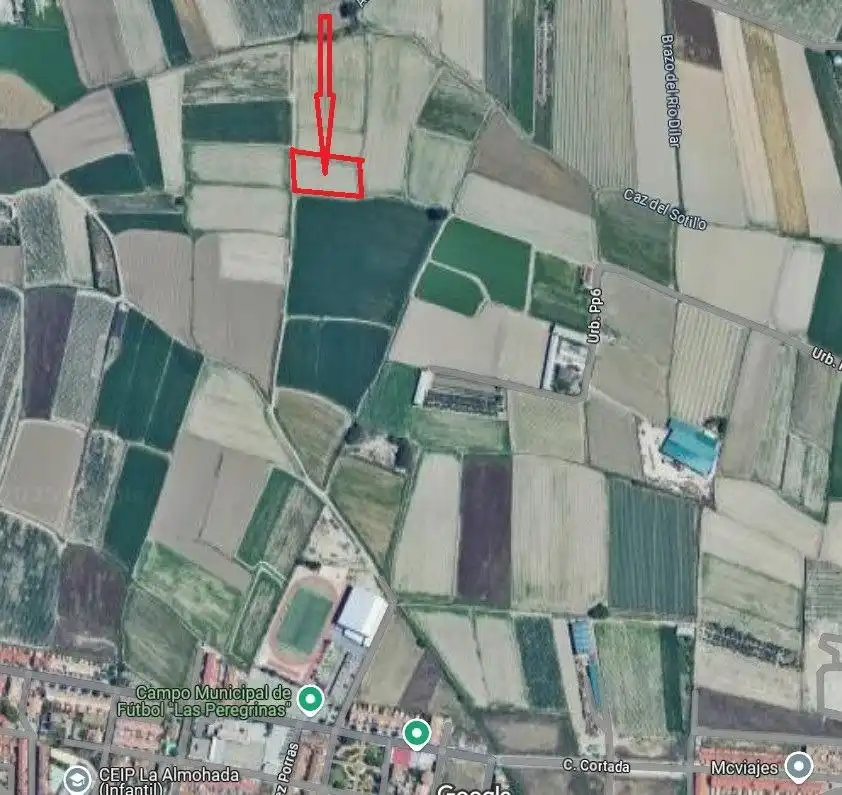 Rural land for sale in Calle PEREGRINA, imagen 11
