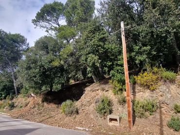 Terreny rústic en venda a Carrer Can Riera