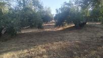 Residential for sale in Villanueva del Arzobispo