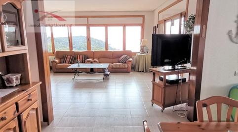 Foto 3 de Casa o chalet en venta en Santa Cristina - Sant Francesc, Blanes