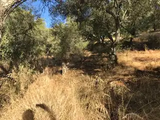 Terreni e lotti in vendita a Cortegana, imagen 23