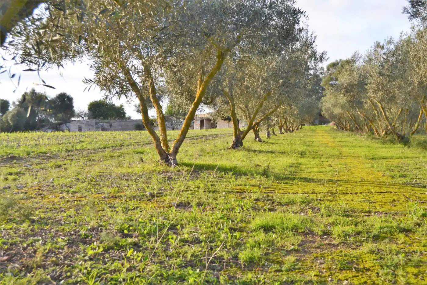 Country house zum Verkauf in Muro