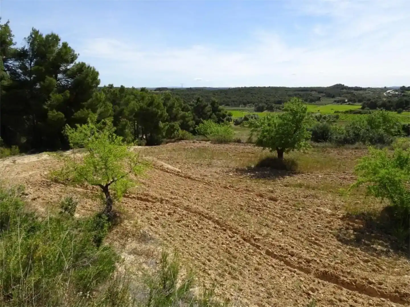 Land for sale in Batea