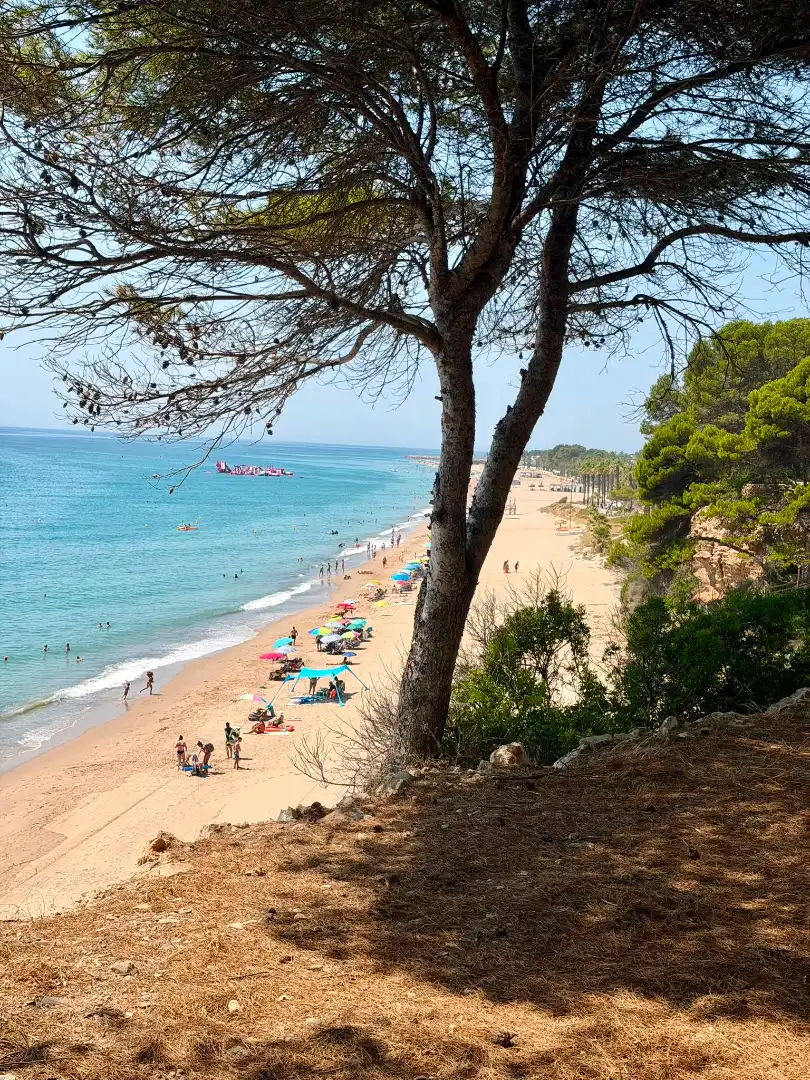 Exterior view of Flat for sale in Mont-roig del Camp  with Heating, Terrace and Furnished