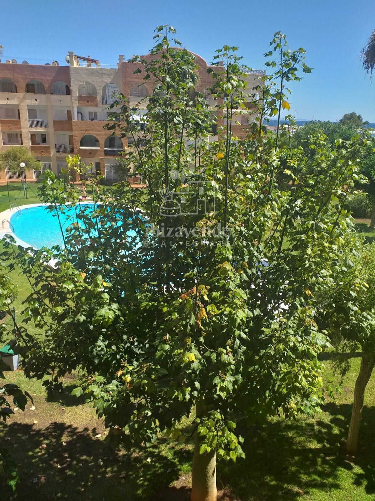 Flat to rent in Cesar Puget Riquer, Santa Eulària