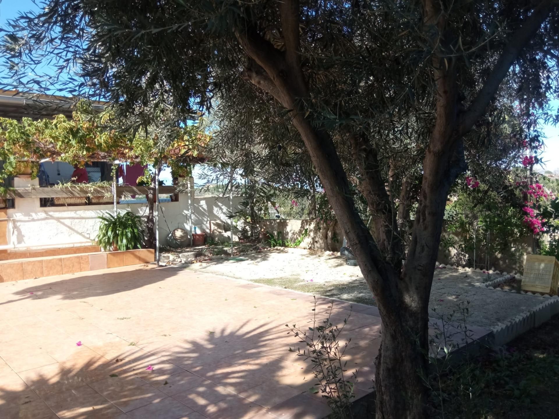 Garden of Country house for sale in  Murcia Capital