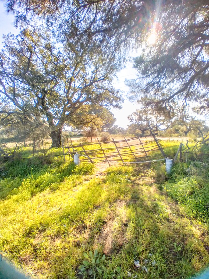Finca rústica en venda en Villablanca